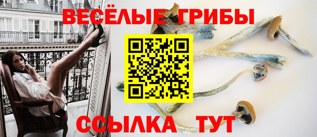 цена   Галлюциногенные грибы GOLDEN TEACHER  Псилоцибиновые грибы мухоморы  Вход с VPN  Советский 
